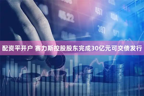 配资平开户 赛力斯控股股东完成30亿元可交债发行