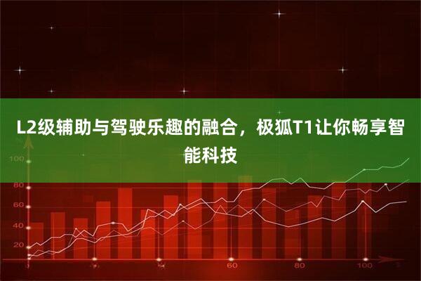 L2级辅助与驾驶乐趣的融合，极狐T1让你畅享智能科技