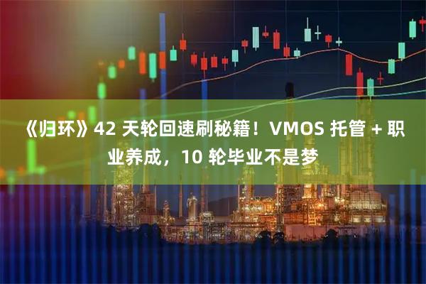 《归环》42 天轮回速刷秘籍！VMOS 托管 + 职业养成，10 轮毕业不是梦